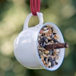 vogelfutter